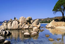 华体会APP下载-地中海之夜，基耶萨一剑封喉，摩纳哥点球鏖战力克黄色潜水艇