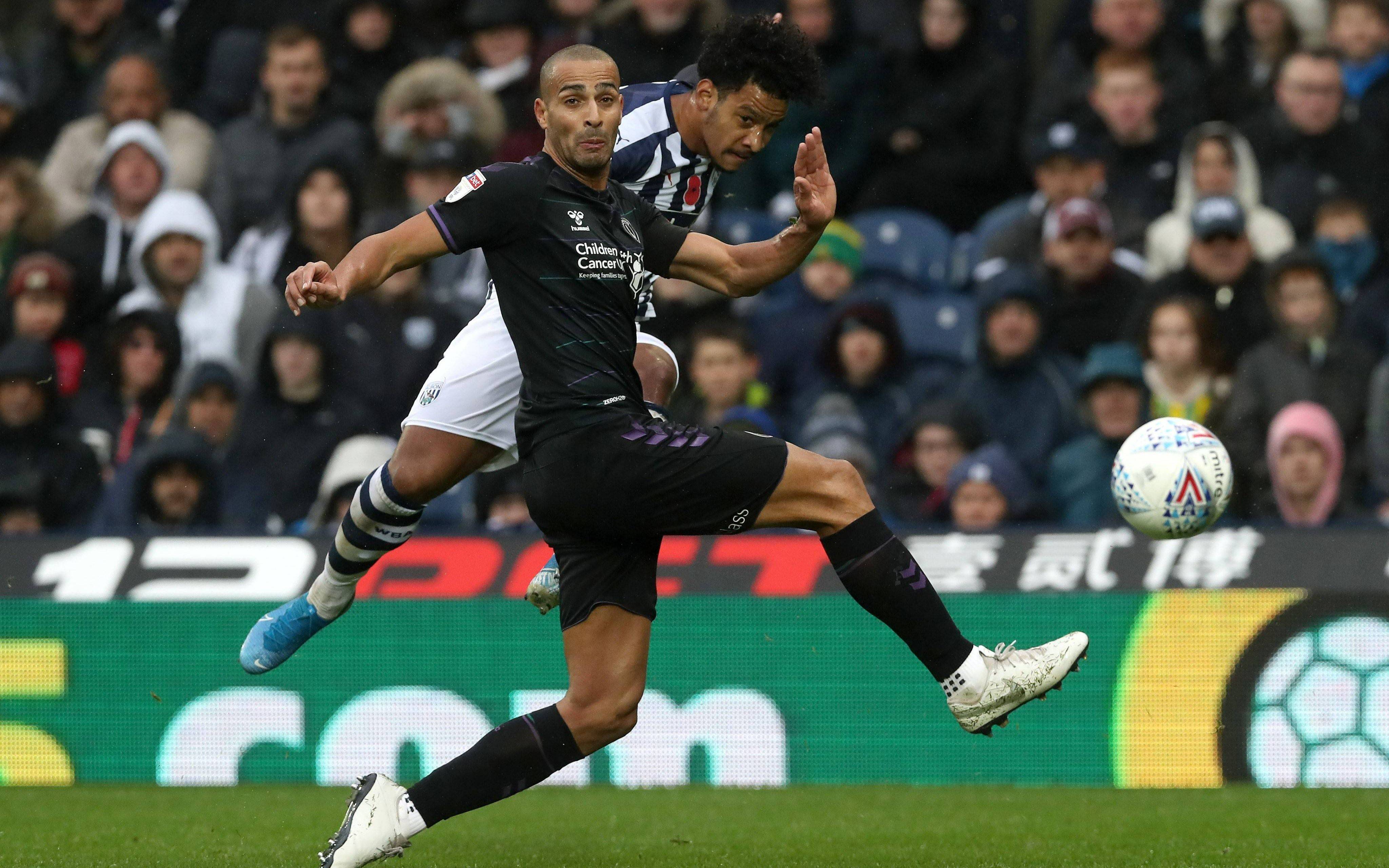 布莱顿主场战平，保持不败韧性