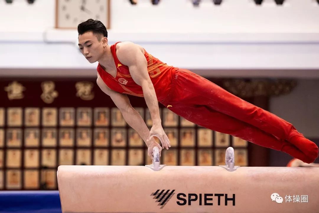 包含斯图加特阵中老将发挥突出，带领球队取胜的词条