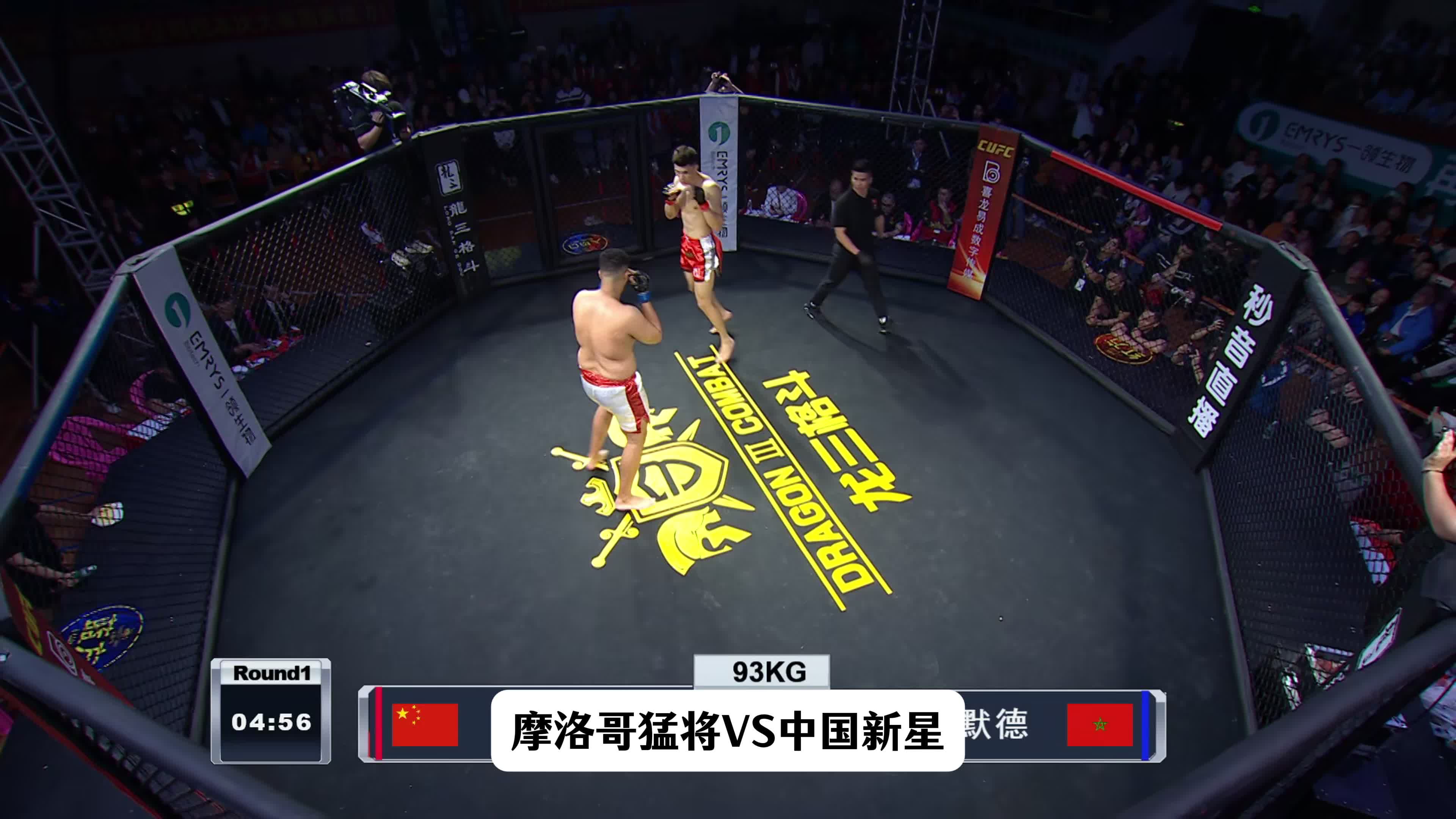 阿拉伯联合酋长国选手在拳击比赛中斩获银牌